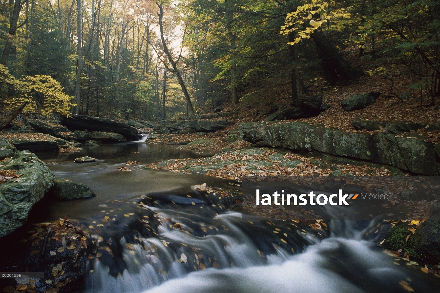 Pequeña cascada en el arroyo de la caza en otoño, bosque de madera del este, Parque de montaña Catoc