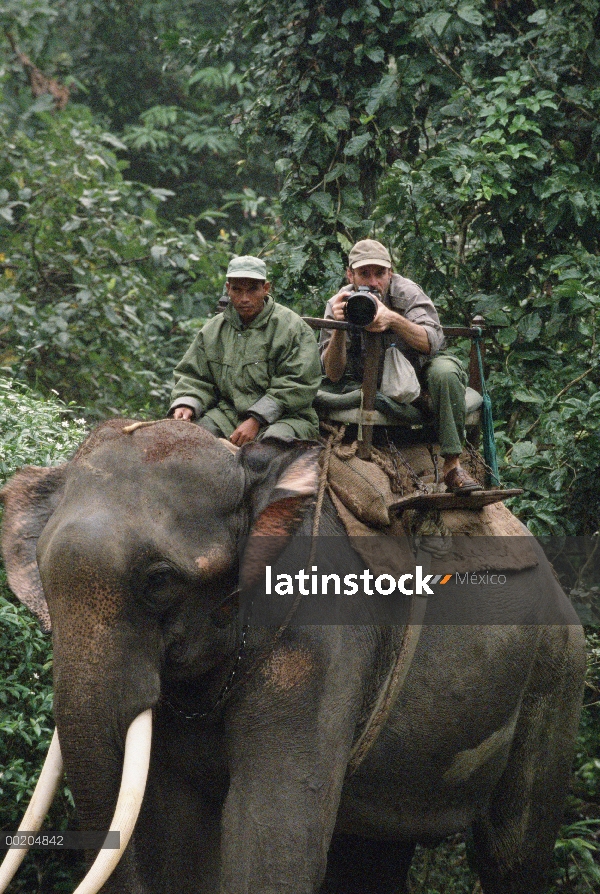 Fotógrafo Gerry Ellis, fotografiando desde 'howdah' en elefante en el Parque Nacional de Royal Chitw