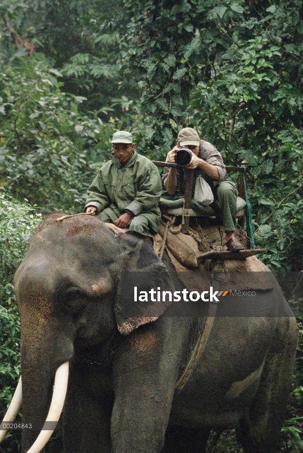 Fotógrafo Gerry Ellis, fotografiando desde 'howdah' en elefante en el Parque Nacional de Royal Chitw