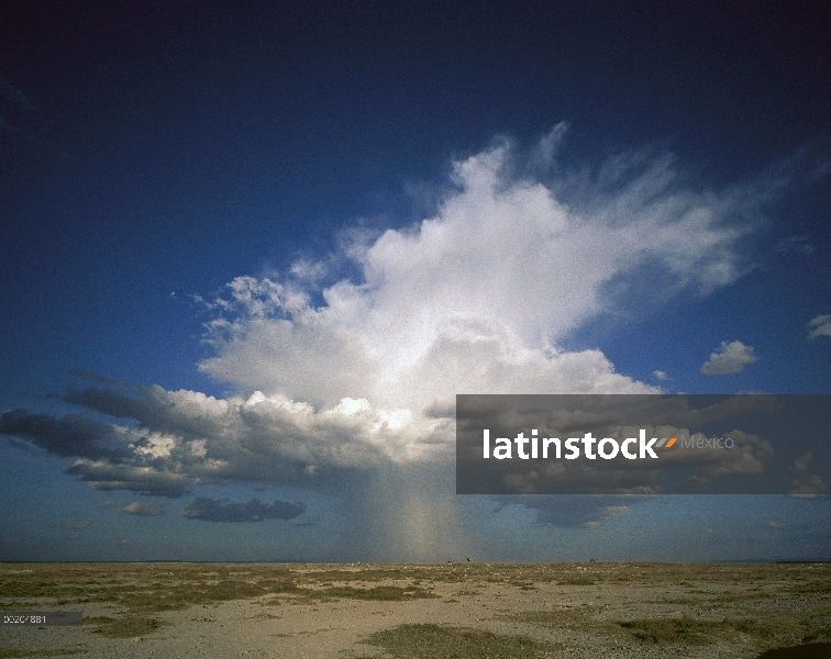 Altocúmulos trueno cabeza lluvia dumping en pan, Parque Nacional de Amboseli, Kenia