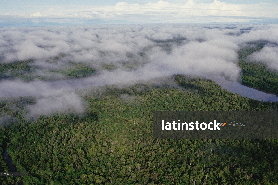 Vista aérea del río de Kikori serpenteante y arroyos a través de la selva tropical de Kikori Delta e