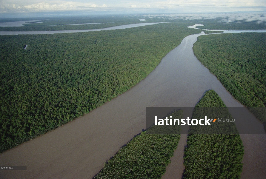 Vista aérea del río de Kikori y arroyos corriendo por la selva tropical, Golfo of Papúa, Papúa Nueva