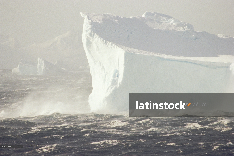 Iceberg en el estrecho de Bransfield, a lo largo de la punta norte de la Península Antártica, Antárt