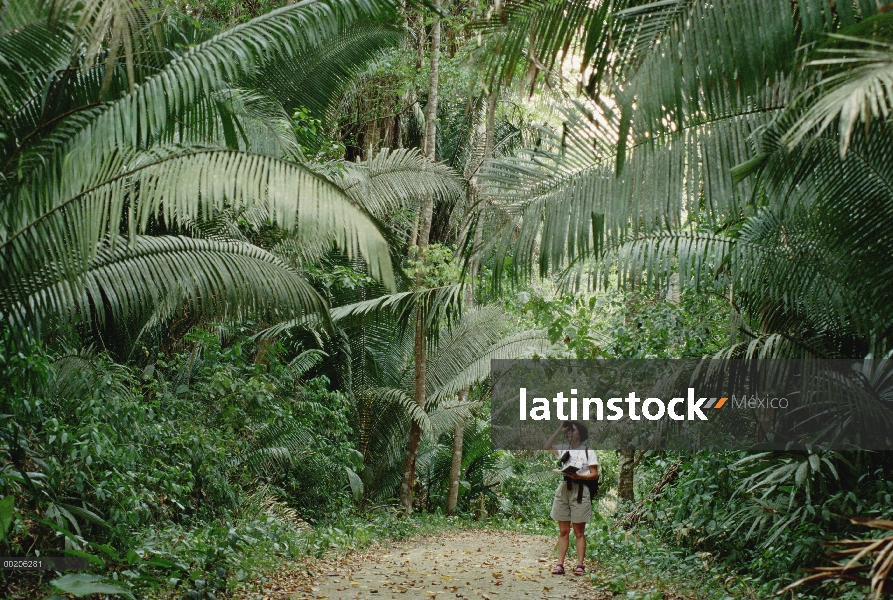 Observador de aves en la selva tropical, Belice