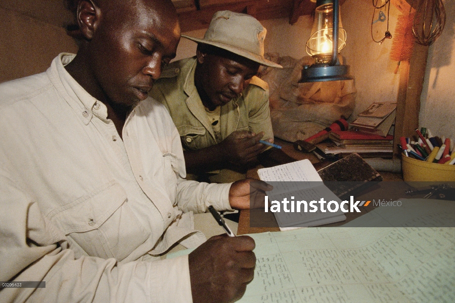 Los encargados del elefante africano (Loxodonta africana) Isaac Mina y Mishak Nzimbi transcriben reg