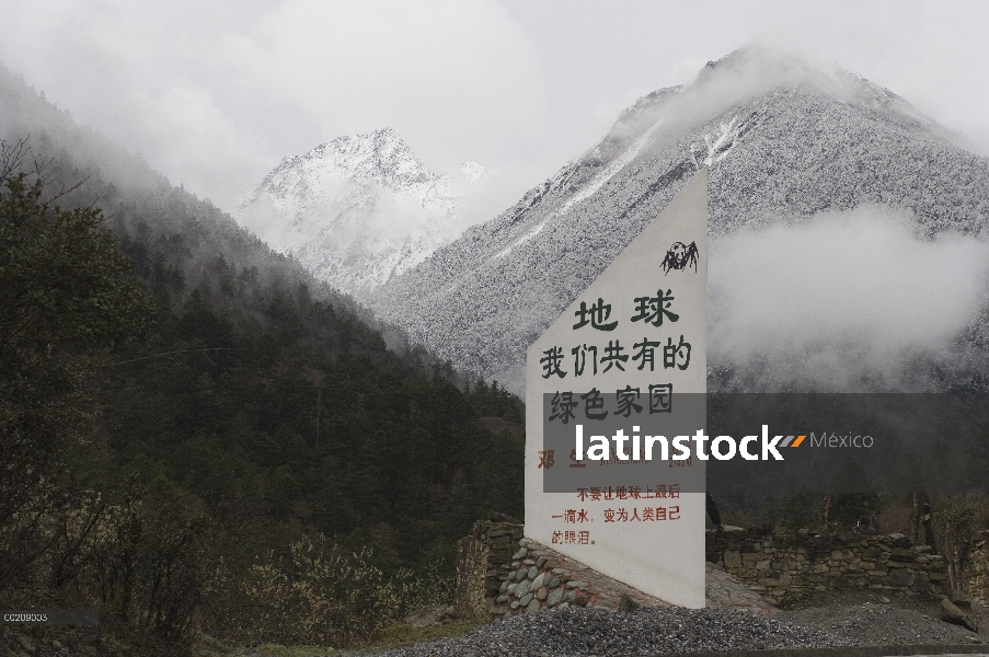 Panda gigante (Ailuropoda melanoleuca) lanzamiento sitio de Xiang Xiang, primer panda nacido en caut