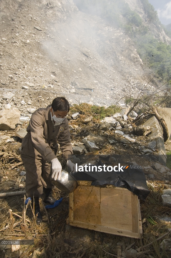 Esfuerzo de la recuperación del Panda gigante (Ailuropoda melanoleuca), trabajador desinfección ataú