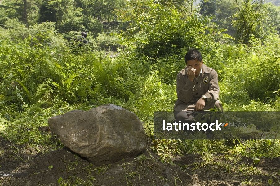 Encargado de la Panda gigante (Ailuropoda melanoleuca), él Changgui llorando orando al lado de la tu