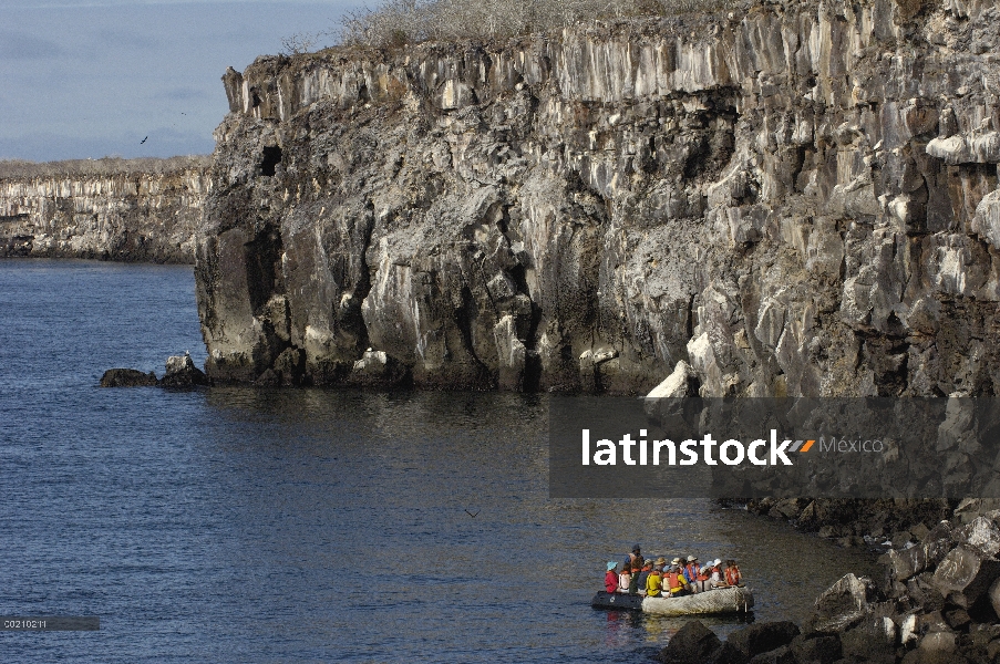 Enmascarados Colonia anidación de piquero (Sula dactylatra) observado por los turistas del barco inf