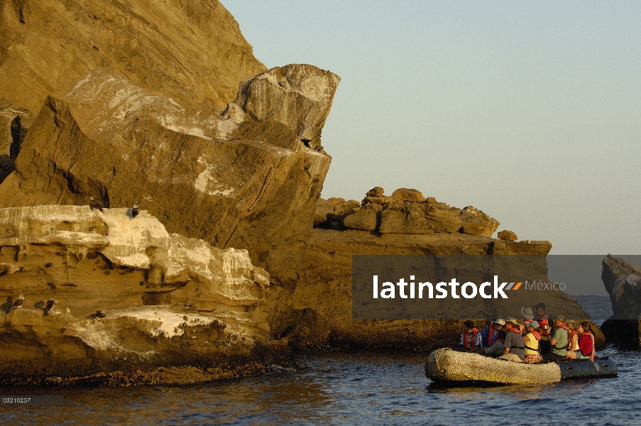 Par de piquero (Sula nebouxii) piqueros en acantilado observada por los turistas en barco, Islas Gal