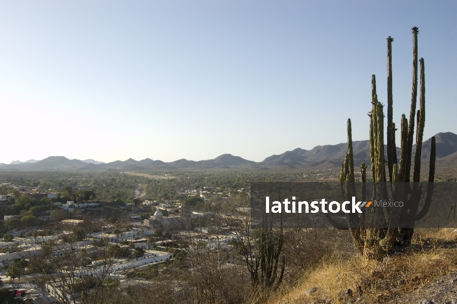 Sonora,Álamos
