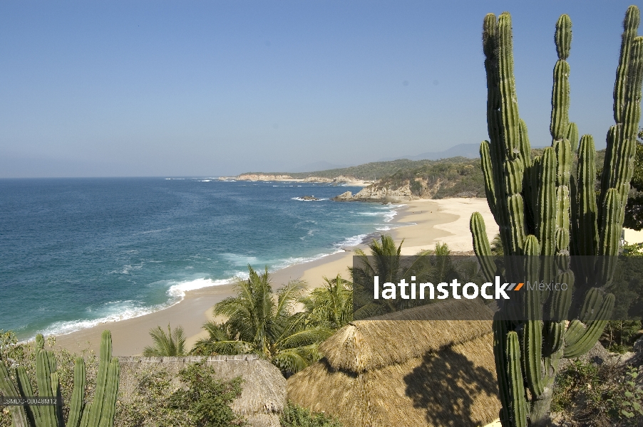 La manzanillera,playa