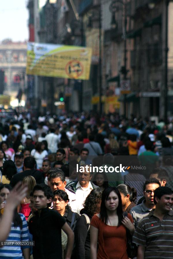 multitudes
