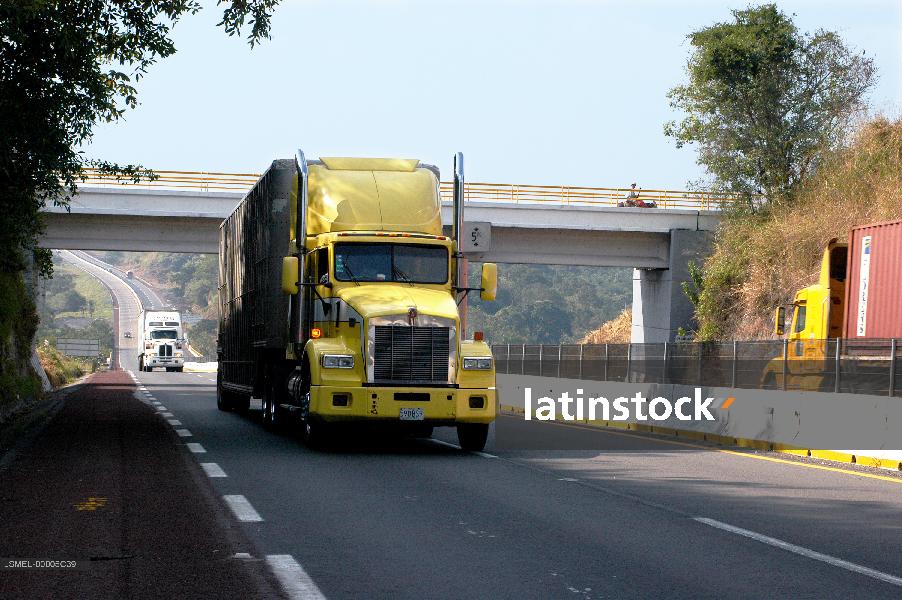Caminos y carreteras