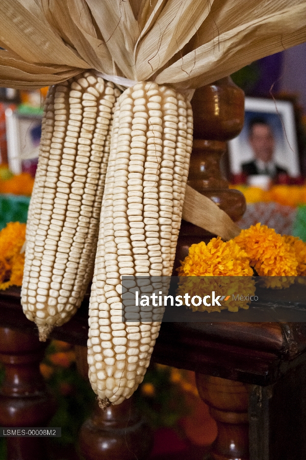 elote,altar de muertos