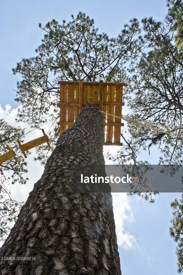 Parque recreativo totlan, coajomulco