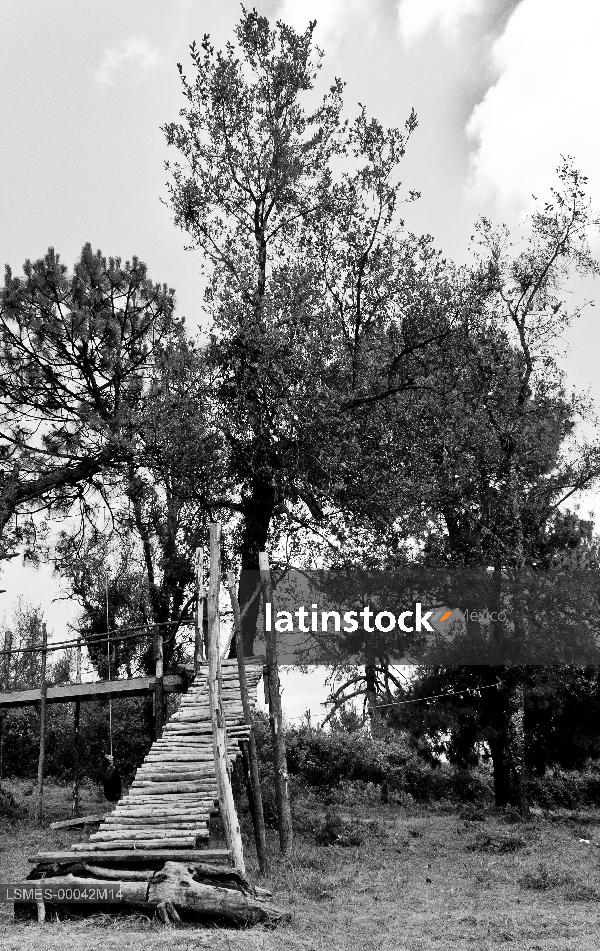 Parque recreativo totlan, coajomulco