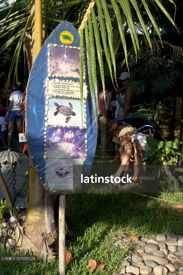 Playa Bonfil,Guerrero,campamento tortuguero