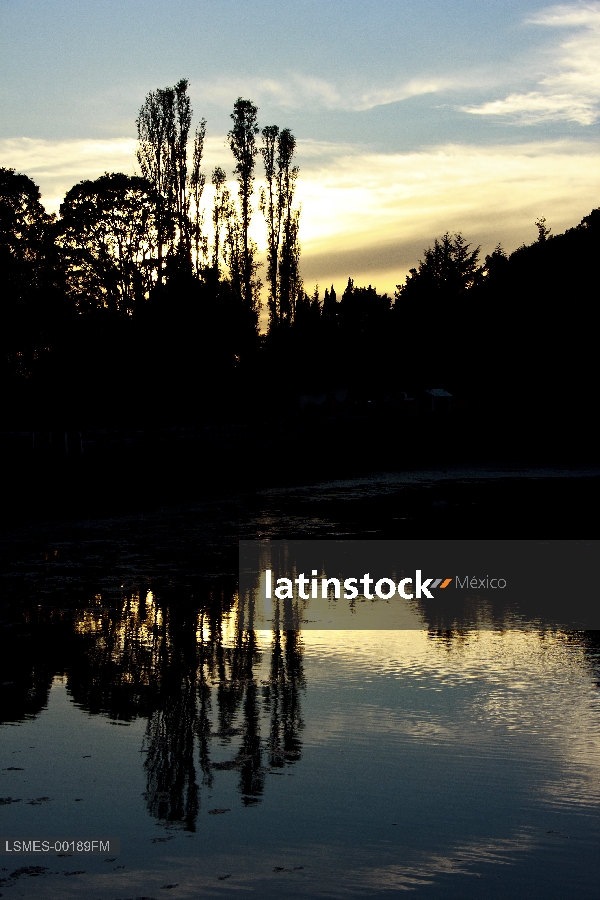 Arboles, reflejo Atardecer