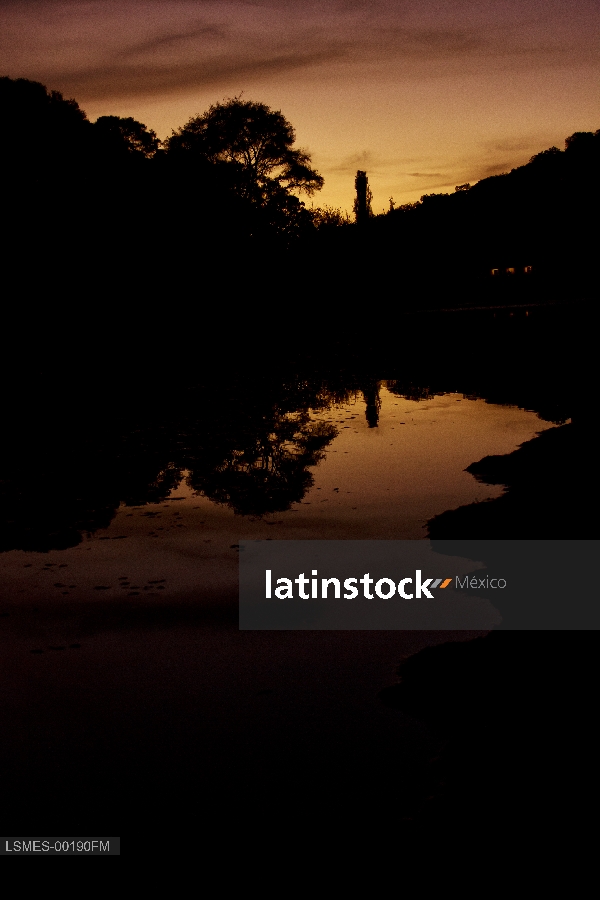 Arboles, reflejo Atardecer