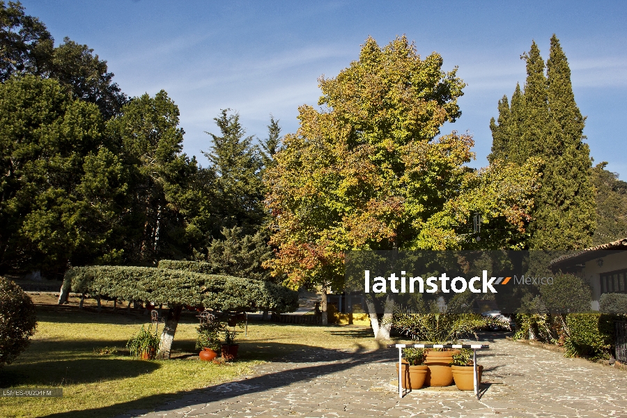 El Rinconcito, Entrada Rancho