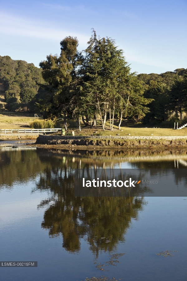 Islote, Rancho El Rinconcito