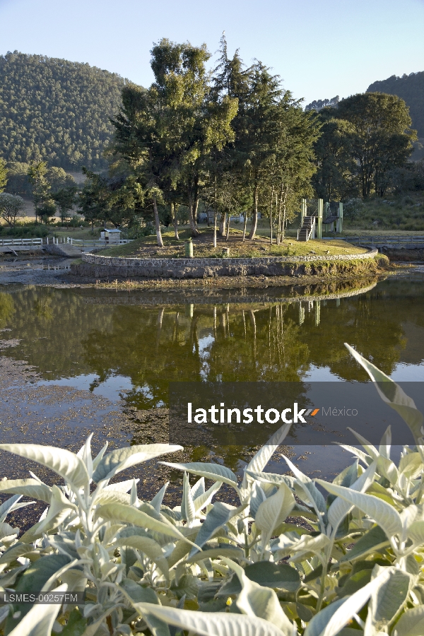 Islote, Rancho El Rinconcito
