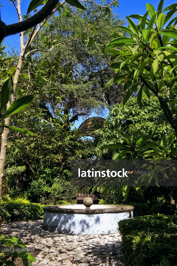 Museo casa Zapata, jardín