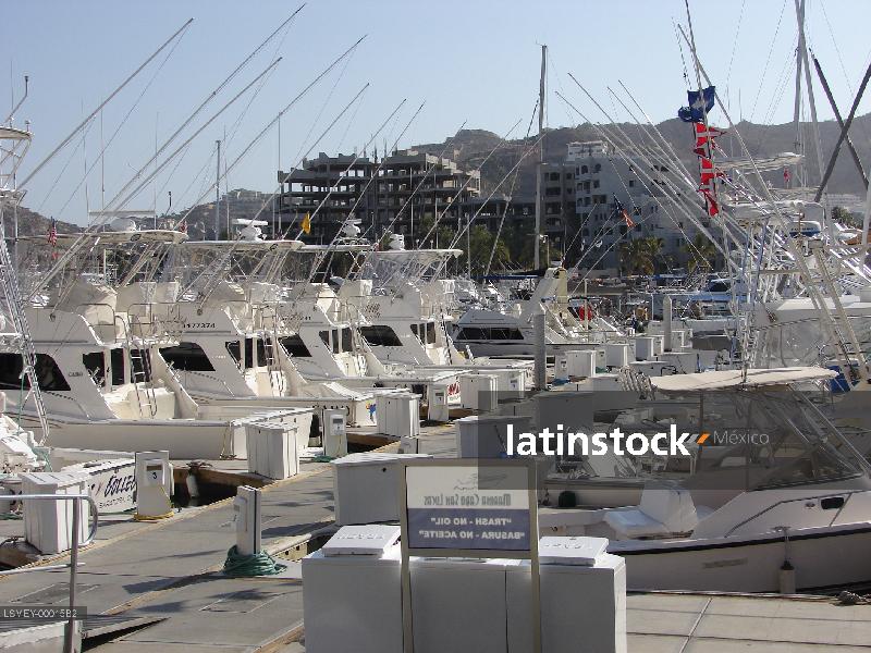 Cabo San Lucas