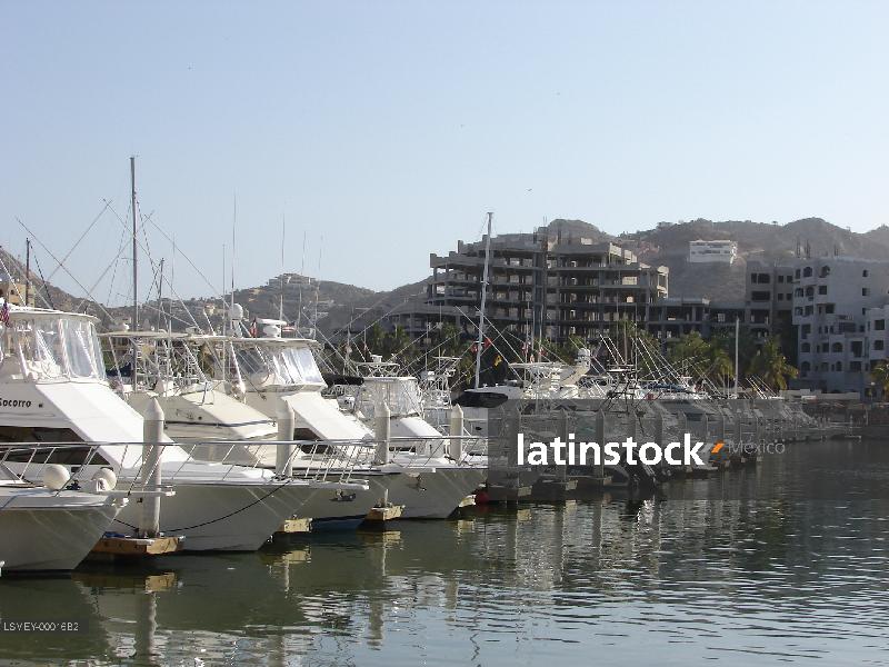 Cabo San Lucas