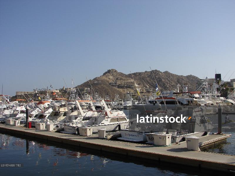 Cabo San Lucas