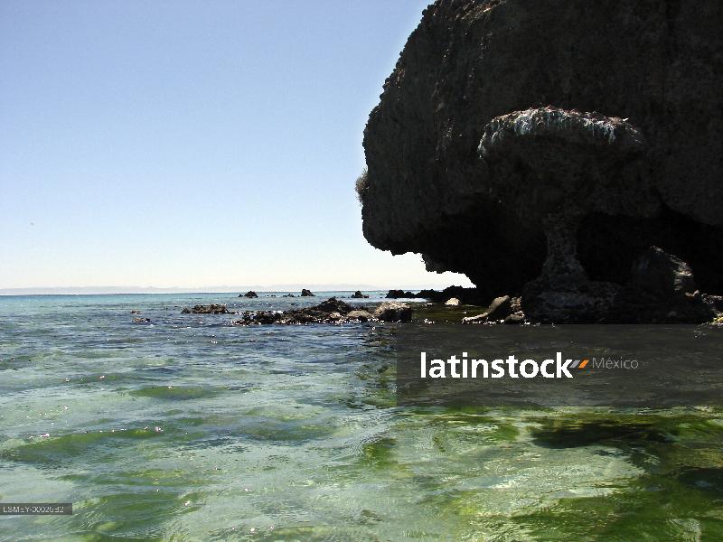 Puerto Balandra-los cabos