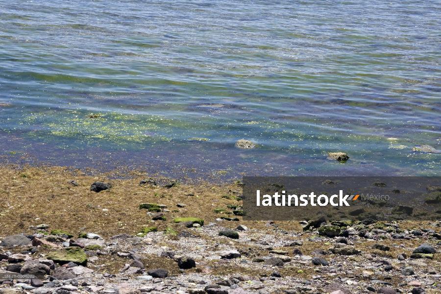toma detalle de malecón
