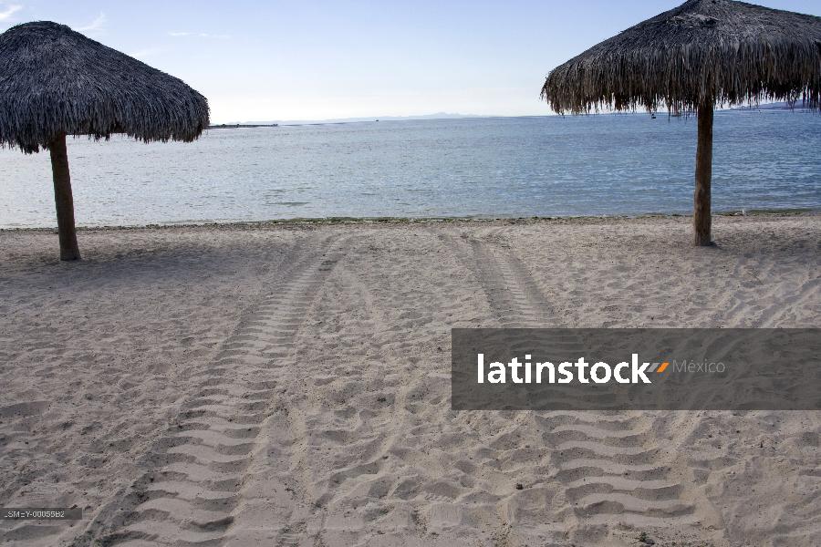 playa en la Paz