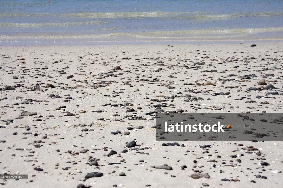 Isla Tecolote