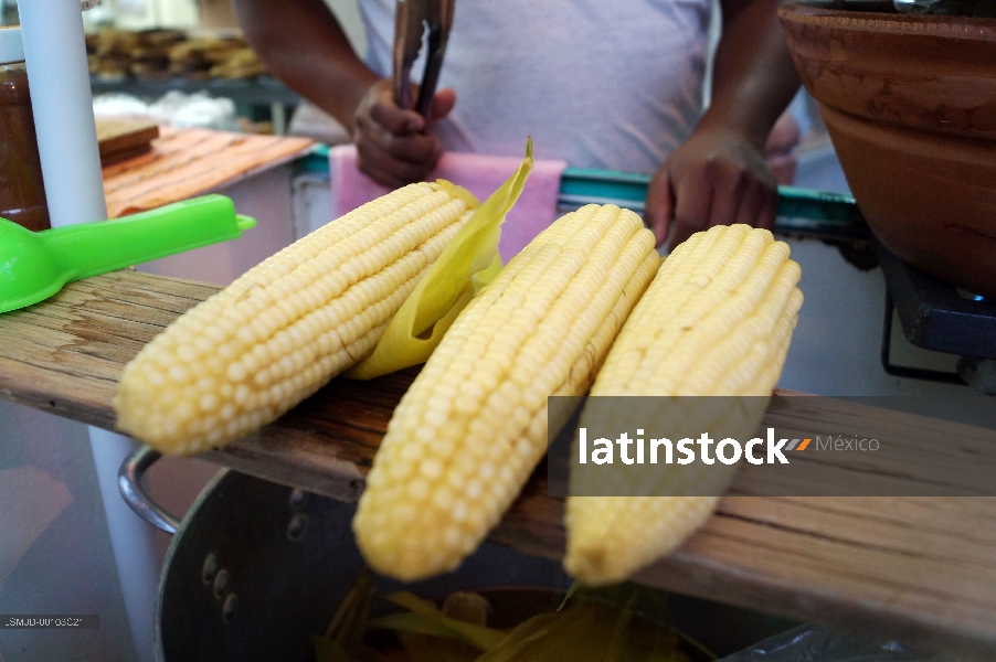 Elotes
