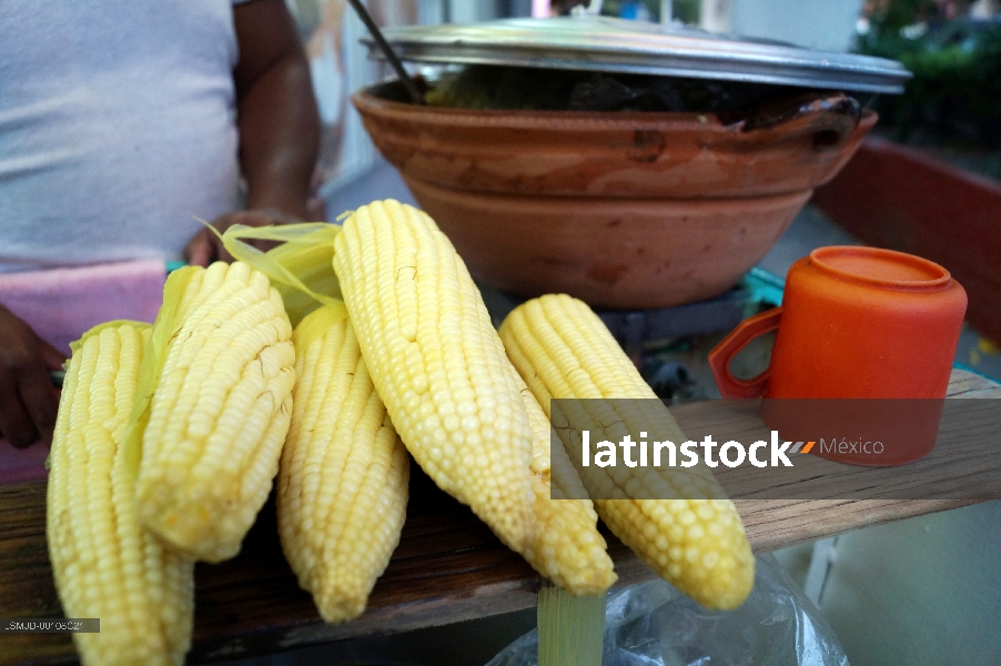 Elotes