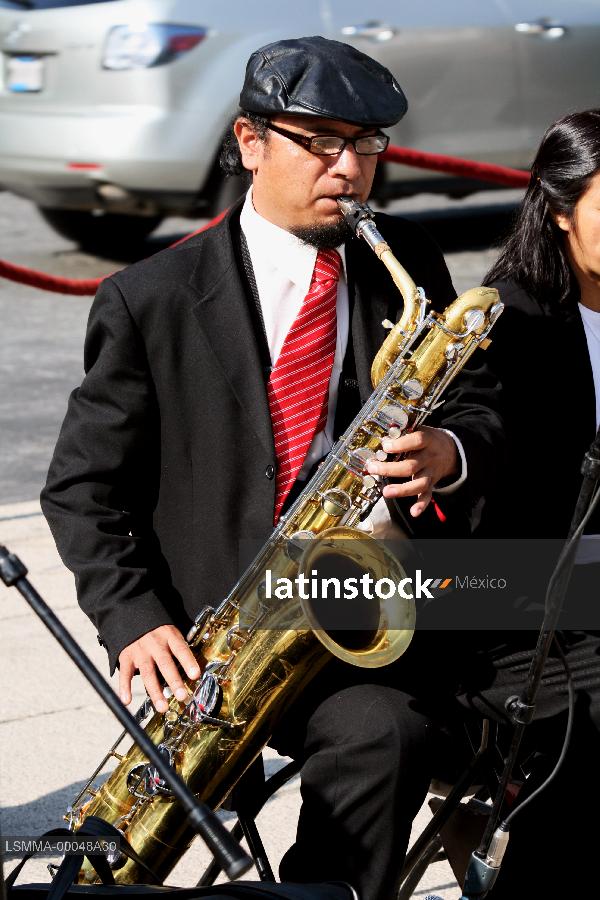 Músico