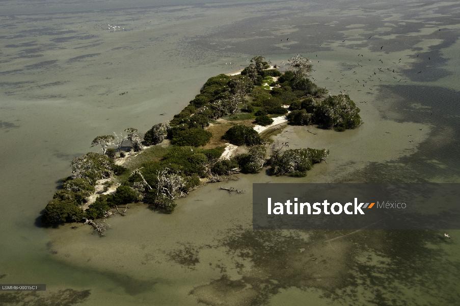 Isla de los pájaros,Ciudad del Carmen