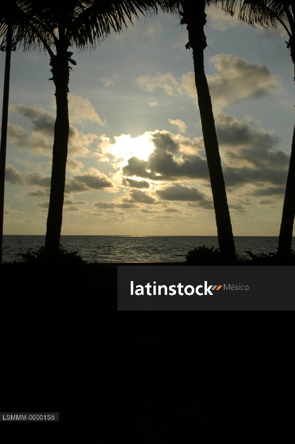 Playa,mazatlán,sinaloa,
