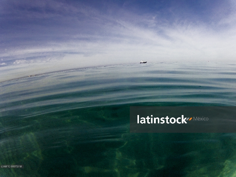 Mar de Cortés, Bahía de la Paz, Baja California Sur