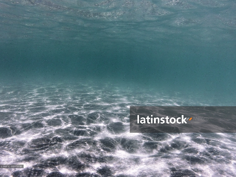 Cabo Pulmo, Los Cabos, Baja California Sur