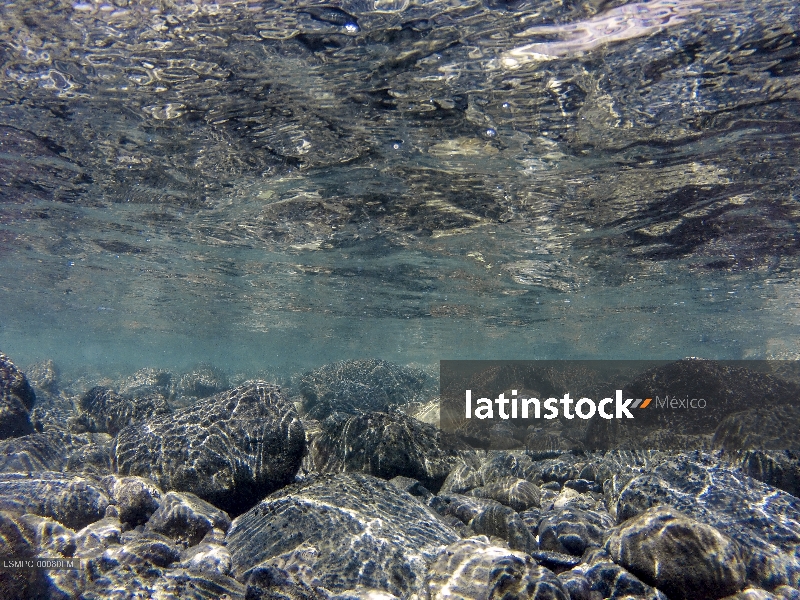 Arrecife en Ensenada de Muertos, Baja California Sur