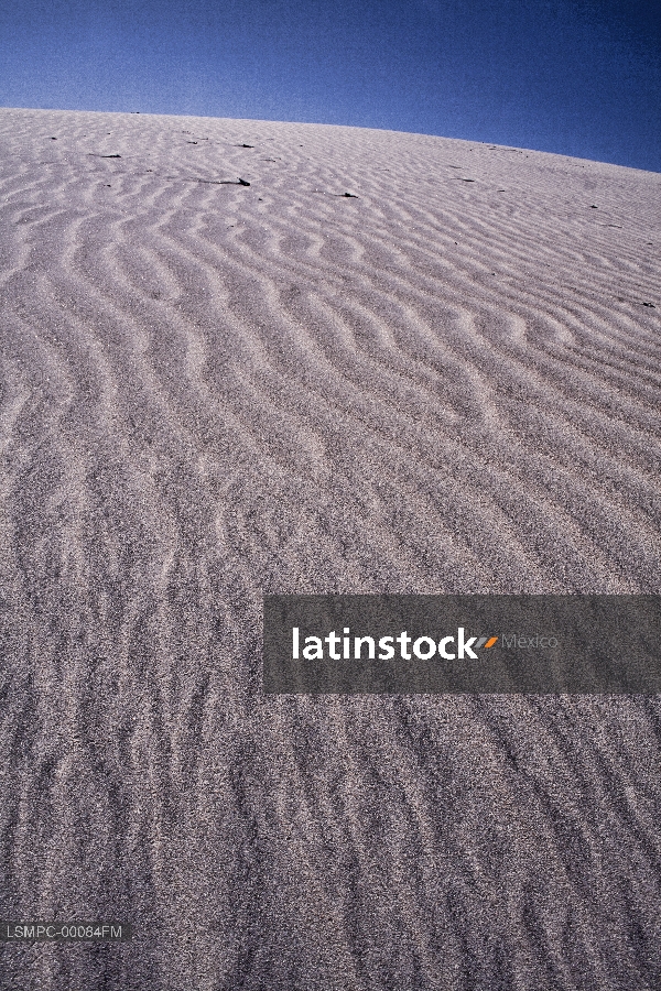 Duna, Baja California Sur