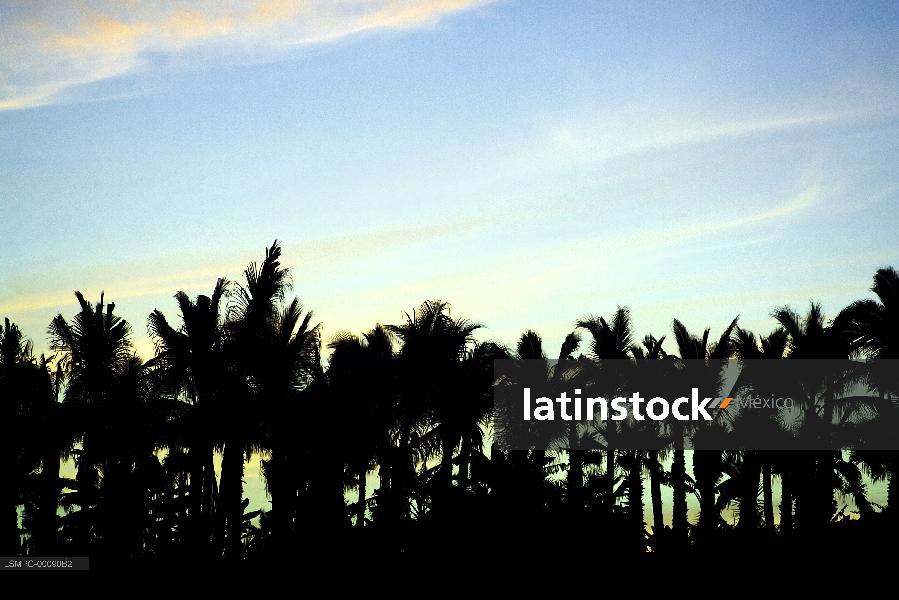 Playa Cerritos,Baja California Sur