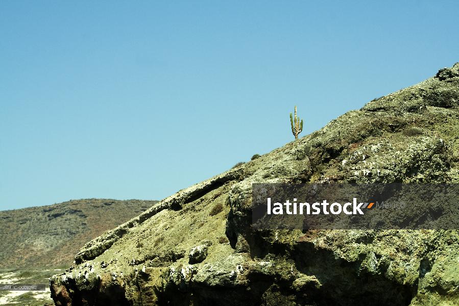 Formación rocosa,la paz