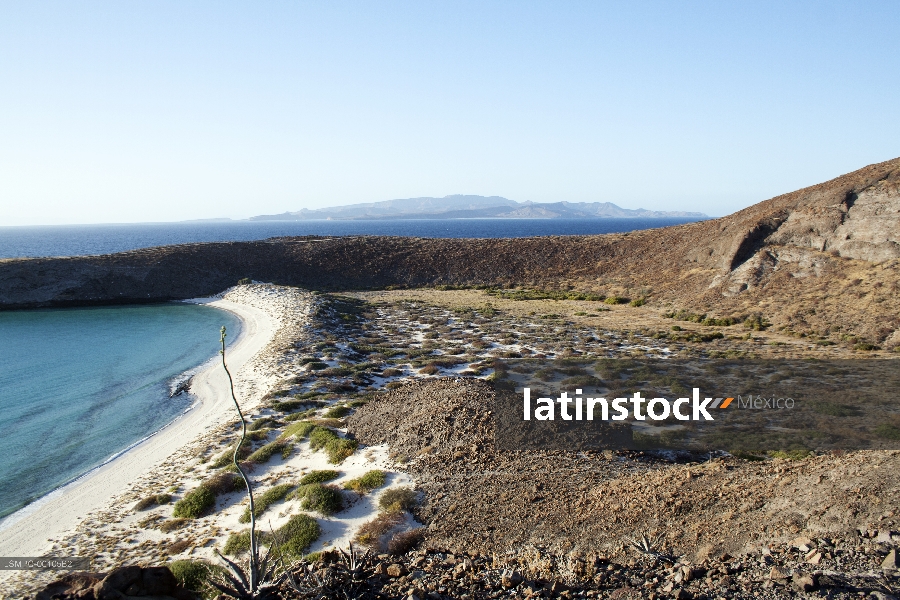 Isla Espíritu santo,baja california sur,