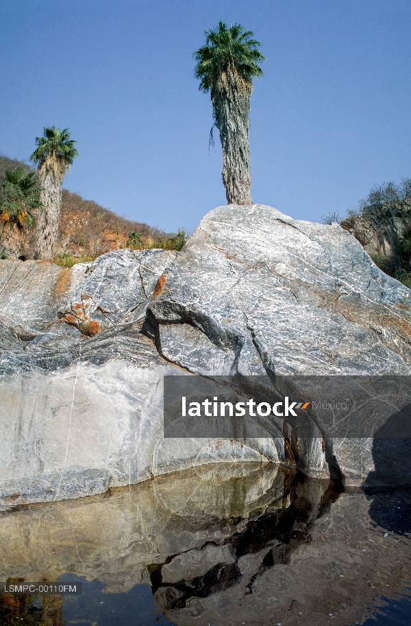 Santa Rita, Sierra la Laguna