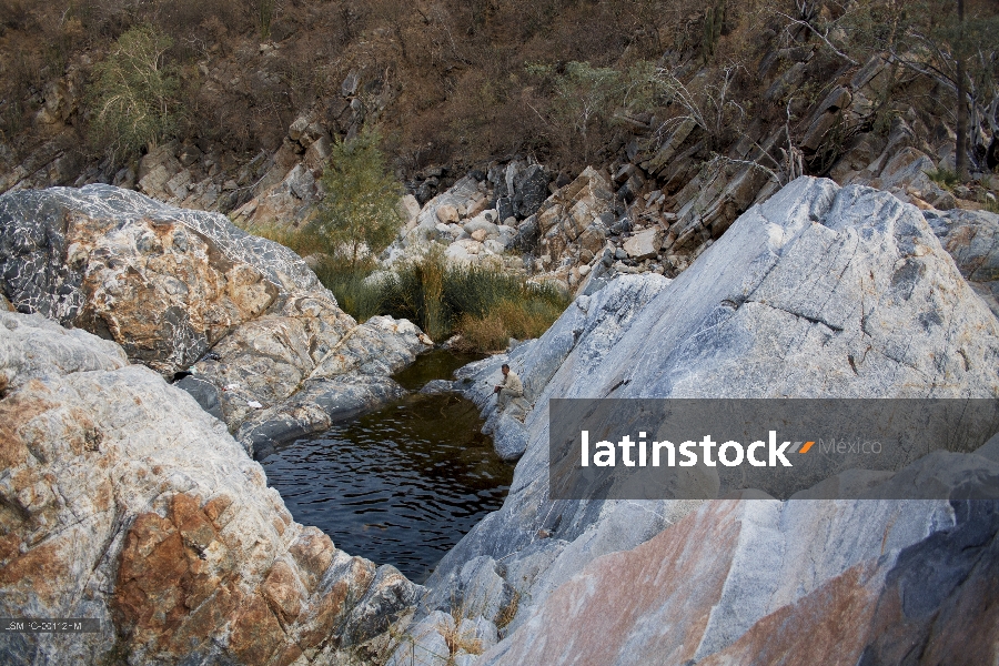 Santa Rita, Sierra la Laguna