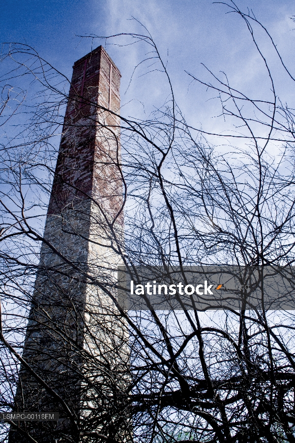 chimenea, El Triunfo
